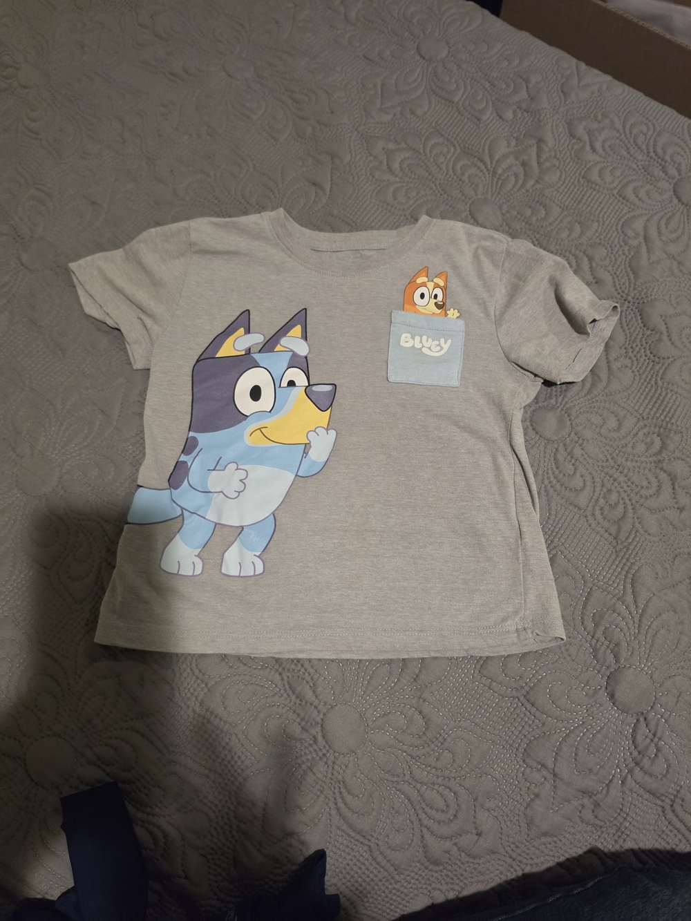 Lucy Grey Kids Bluey Graphic Tee with Pocket Accent